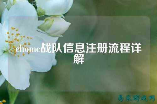 ehome战队信息注册流程详解