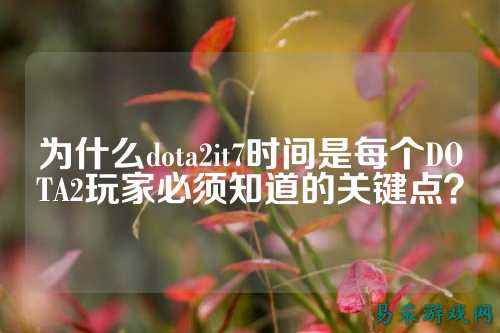 为什么dota2it7时间是每个DOTA2玩家必须知道的关键点?