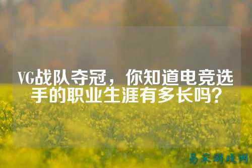VG战队夺冠，你知道电竞选手的职业生涯有多长吗？