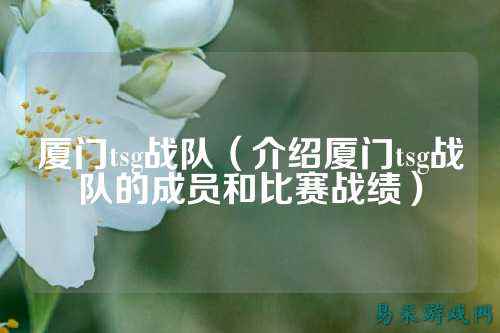 厦门tsg战队（介绍厦门tsg战队的成员和比赛战绩）