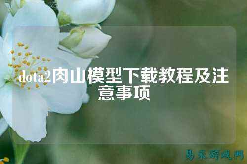 dota2肉山模型下载教程及注意事项