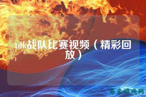 tdk战队比赛视频（精彩回放）