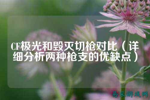 CF极光和毁灭切枪对比(详细分析两种枪支的优缺点)