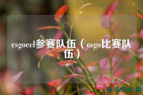 csgoecl参赛队伍(csgo比赛队伍)