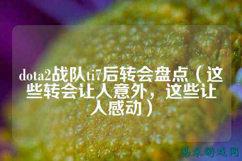 dota2战队ti7后转会盘点(这些转会让人意外,这些让人感动)