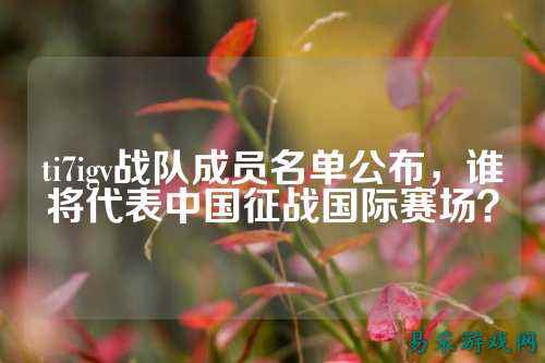 ti7igv战队成员名单公布，谁将代表中国征战国际赛场？