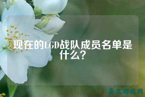 现在的LGD战队成员名单是什么？