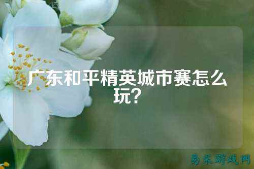 广东和平精英城市赛怎么玩?