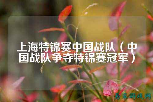 上海特锦赛中国战队（中国战队争夺特锦赛冠军）