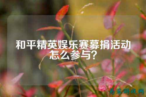 和平精英娱乐赛募捐活动怎么参与?