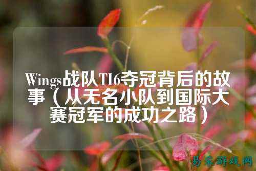 Wings战队TI6夺冠背后的故事（从无名小队到国际大赛冠军的成功之路）