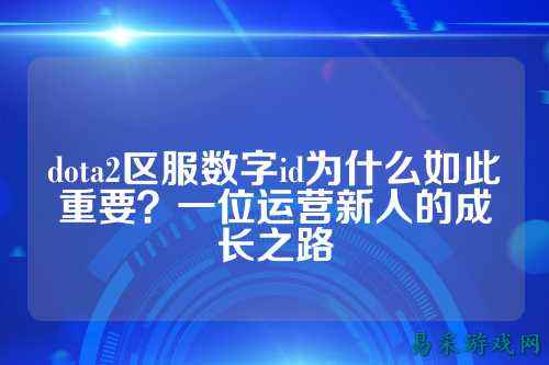 dota2区服数字id为什么如此重要？一位运营新人的成长之路