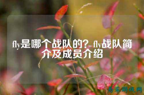 fly是哪个战队的？fly战队简介及成员介绍