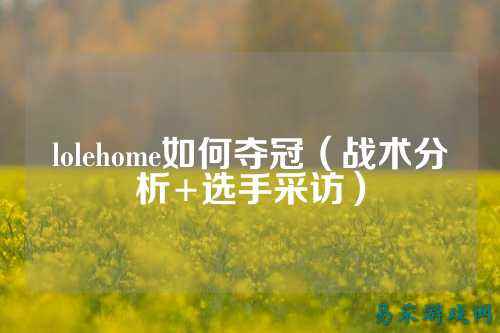 lolehome如何夺冠（战术分析+选手采访）