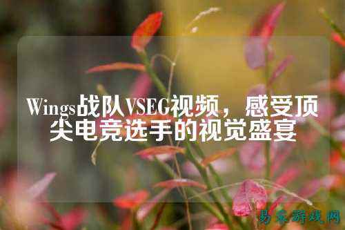 Wings战队VSEG视频，感受顶尖电竞选手的视觉盛宴