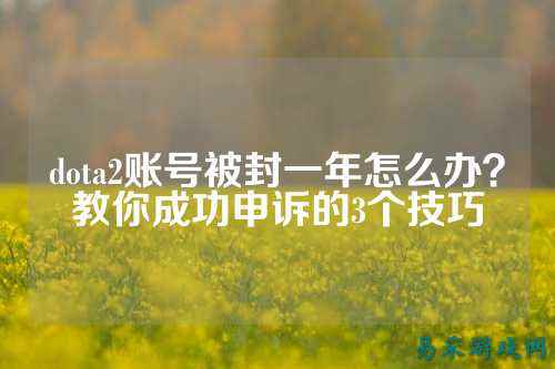dota2账号被封一年怎么办？教你成功申诉的3个技巧