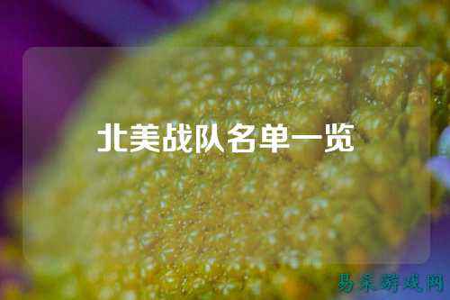 北美战队名单一览