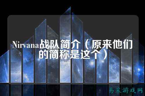 Nirvana战队简介（原来他们的简称是这个）