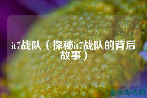 it7战队（探秘it7战队的背后故事）
