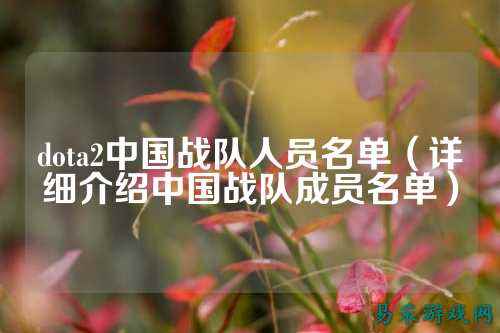 dota2中国战队人员名单（详细介绍中国战队成员名单）