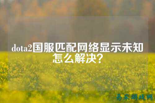 dota2国服匹配网络显示未知怎么解决?