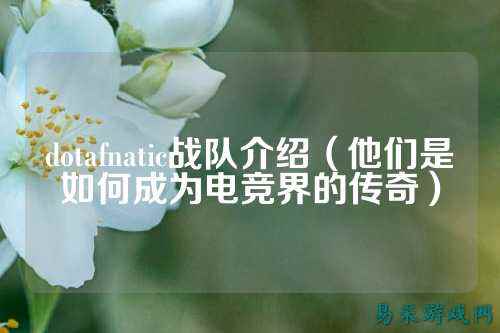 dotafnatic战队介绍（他们是如何成为电竞界的传奇）