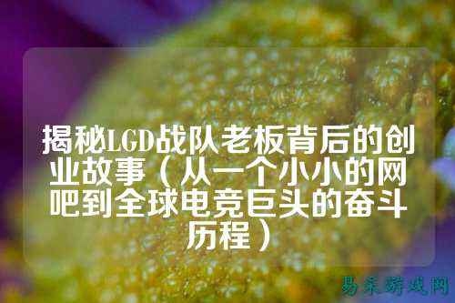 揭秘LGD战队老板背后的创业故事（从一个小小的网吧到全球电竞巨头的奋斗历程）