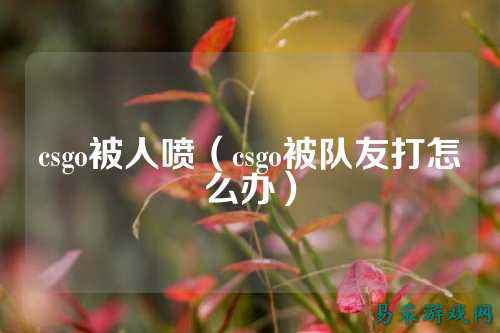 csgo被人喷（csgo被队友打怎么办）