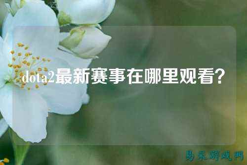 dota2最新赛事在哪里观看？