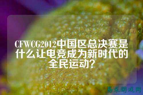 CFWCG2012中国区总决赛是什么让电竞成为新时代的全民运动？