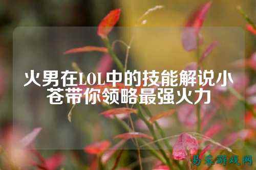 火男在LOL中的技能解说小苍带你领略最强火力
