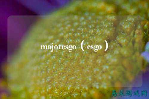 majorcsgo（csgo）