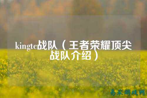 kingtc战队（王者荣耀顶尖战队介绍）