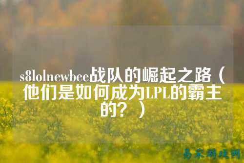 s8lolnewbee战队的崛起之路（他们是如何成为LPL的霸主的？）