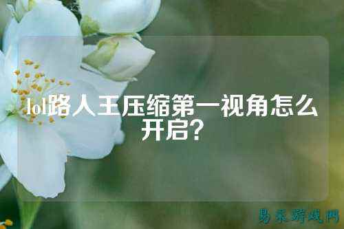 lol路人王压缩第一视角怎么开启?