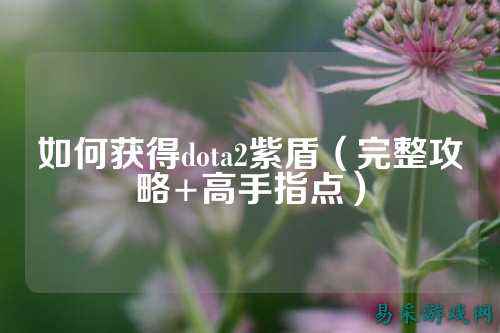 如何获得dota2紫盾(完整攻略+高手指点)