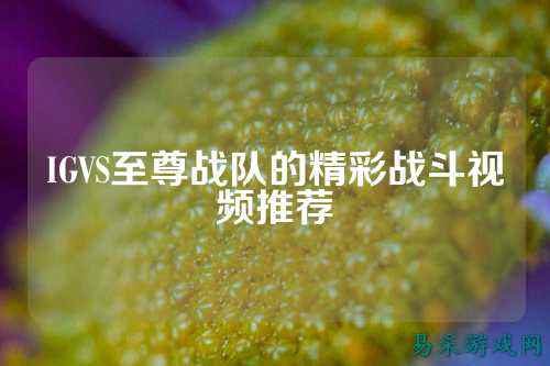 IGVS至尊战队的精彩战斗视频推荐