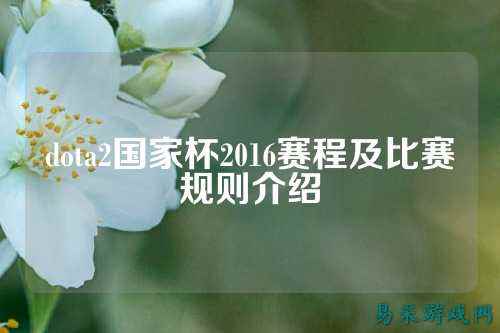 dota2国家杯2016赛程及比赛规则介绍