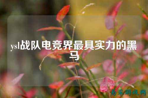 ysl战队电竞界最具实力的黑马