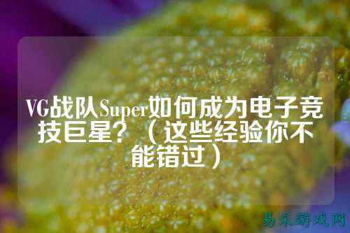 VG战队Super如何成为电子竞技巨星？（这些经验你不能错过）
