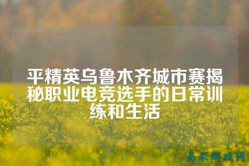 平精英乌鲁木齐城市赛揭秘职业电竞选手的日常训练和生活