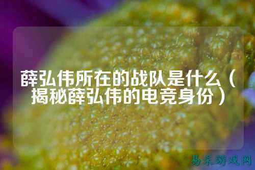 薛弘伟所在的战队是什么（揭秘薛弘伟的电竞身份）