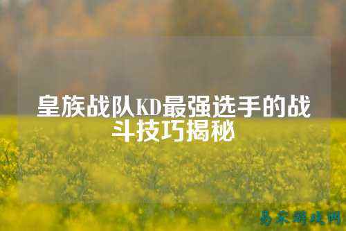 皇族战队KD最强选手的战斗技巧揭秘