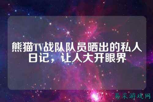 熊猫TV战队队员晒出的私人日记，让人大开眼界