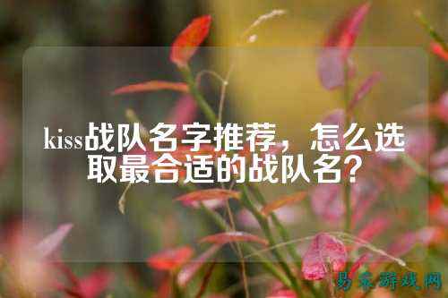 kiss战队名字推荐，怎么选取最合适的战队名？