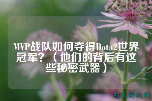 MVP战队如何夺得Dota2世界冠军？（他们的背后有这些秘密武器）