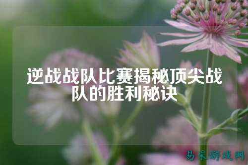 逆战战队比赛揭秘顶尖战队的胜利秘诀
