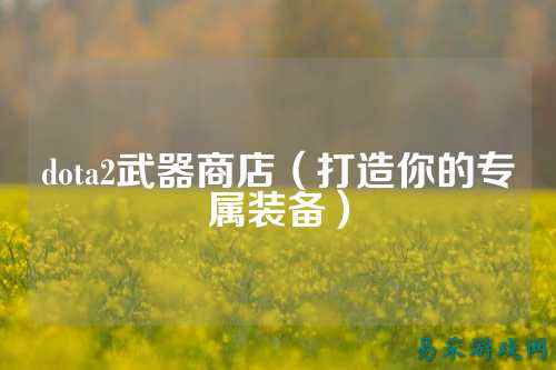 dota2武器商店（打造你的专属装备）