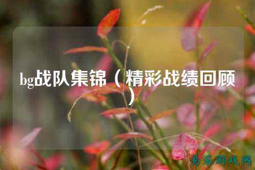 bg战队集锦（精彩战绩回顾）