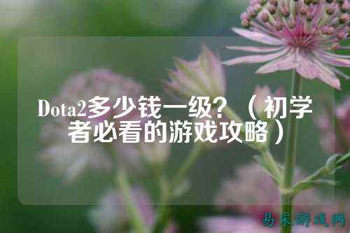 Dota2多少钱一级？（初学者必看的游戏攻略）